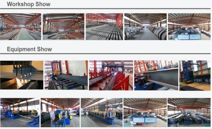 Qingdao Xinguangzheng Husbandry Co.,  Ltd linha de produção da fábrica