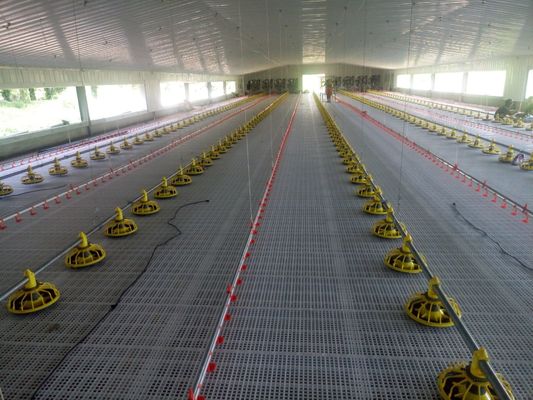 Sistema OEM de piso de frango de corte 380V Sistema de elevação plana de frango de corte