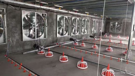 Sistema OEM de piso de frango de corte 380V Sistema de elevação plana de frango de corte