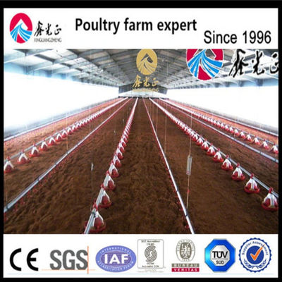 Estrutura de aço pré-fabricada Criador Casas de frango Agricultura Casa de gado
