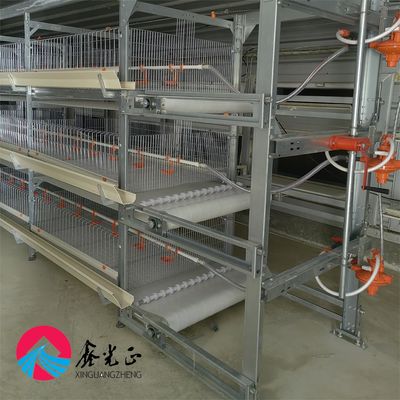 Estrutura de aço pré-fabricada Criador Casas de frango Agricultura Casa de gado