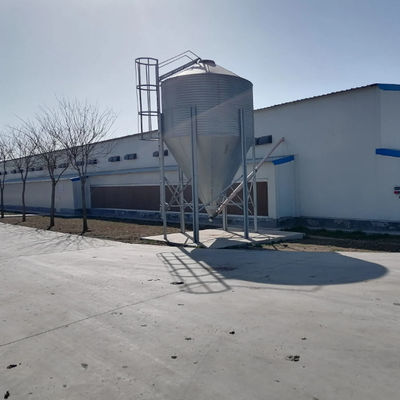 Estrutura de aço pré-fabricada Criador Casas de frango Agricultura Casa de gado