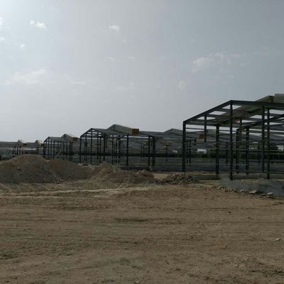 ODM Armazém de Metal Prefabricado Quadro de Aço Inteligente Casa de Frango