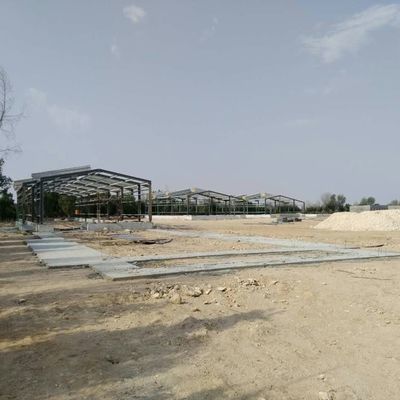 Pre-Engenharia de Pecuária Casa de Fazenda de Frango Estrutura de Aço Armazém