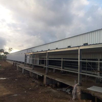 Folha galvanizada Casa de gado Estrutura de aço Criador Casas de frango