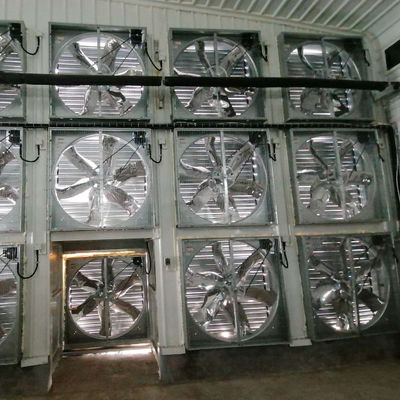 Casa de aves de aço com janelas deslizantes e ventilação