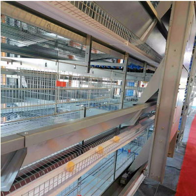 Casa de aves de aço com janelas deslizantes e ventilação