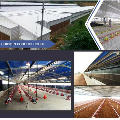 Casa de Fazenda Pré-Fabricada em Aço com Secção H e Isolamento em PVC para Criação de Animais