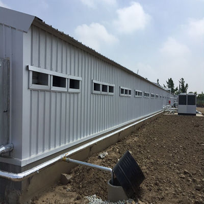 Agricultura de aves de capoeira Casa de frango Construção de estruturas de aço pré-fabricadas leves