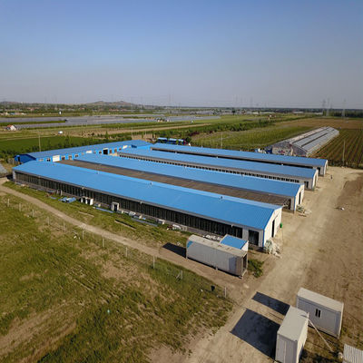 CE Casa de criação de gado Estrutura de aço Casa de frango e equipamento para frango