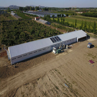 Agricultura de aves de capoeira Casa de frango Construção de estruturas de aço pré-fabricadas leves