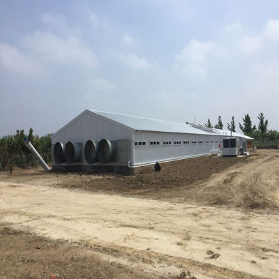 Agricultura de aves de capoeira Casa de frango Construção de estruturas de aço pré-fabricadas leves