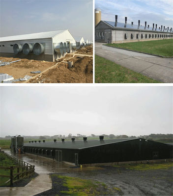 CE Casa de criação de gado Estrutura de aço Casa de frango e equipamento para frango