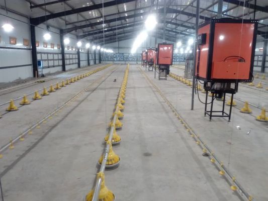 H Secção de aço Comercial Casinha de frango Estrutura de aço pré-fabricada
