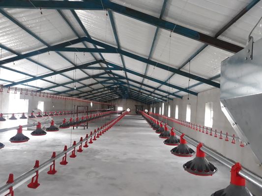H Secção de aço Comercial Casinha de frango Estrutura de aço pré-fabricada