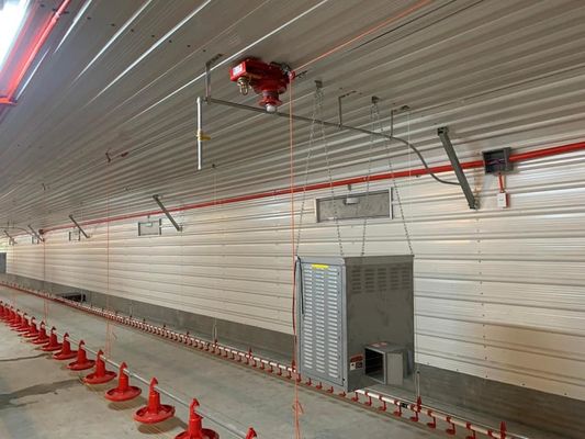 H Secção de aço Comercial Casinha de frango Estrutura de aço pré-fabricada