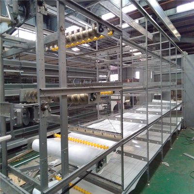 H Sistema de alimentação automático de frangos de corte para explorações avançadas