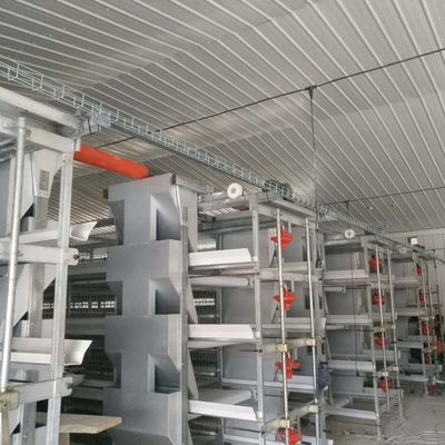 Sistema de gaiolas para frangos de grande porte 230M*56M para o país de origem