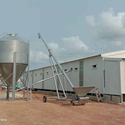 Sistema automático de alimentação de frangos de corte A solução ideal para as explorações avícolas