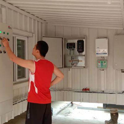 Sistema automático de alimentação de frangos de corte A solução ideal para as explorações avícolas