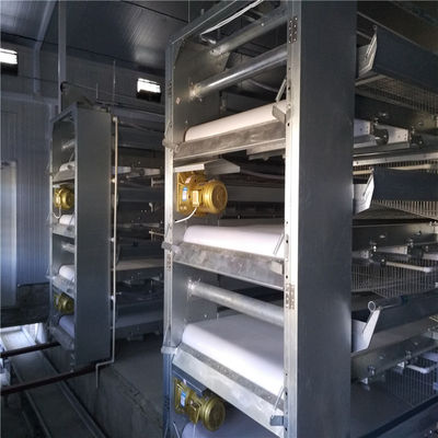 Sistema automático de alimentação de frangos de corte elegante e moderno com pulverização eletrostática
