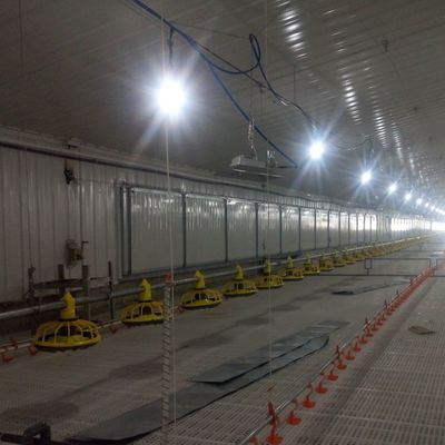 Padrão do sistema de piso antiderrapante para frangos de corte para desempenho superior