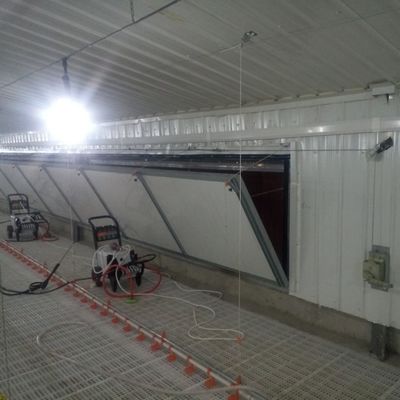 Padrão do sistema de piso antiderrapante para frangos de corte para desempenho superior