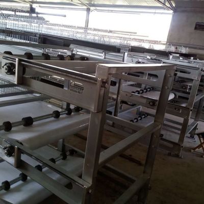 Caixa de frango galvanizada de 3 níveis com alimentação automática