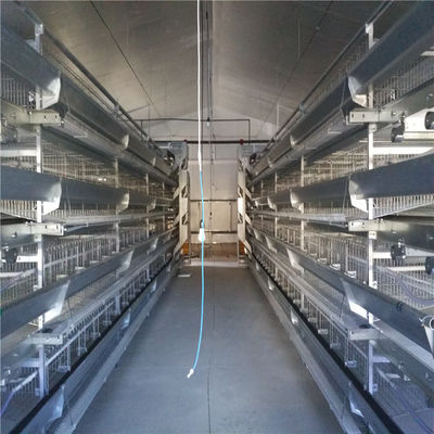 Aço galvanizado de tipo A Recinto de frango para produção de ovos para sistemas automatizados de alimentação e bebida