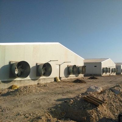 Casa de aves de capoeira pré-fabricada de telhado de gabarito personalizado com painéis de isolamento