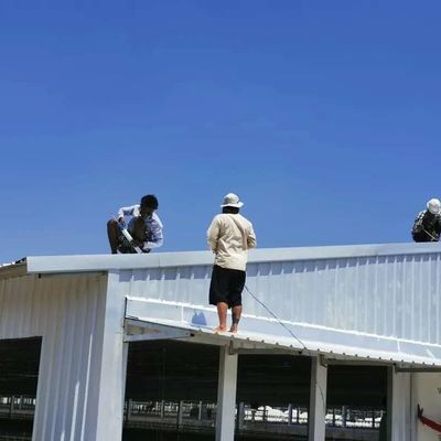 Construção de aço de aves de capoeira resistente a intempéries