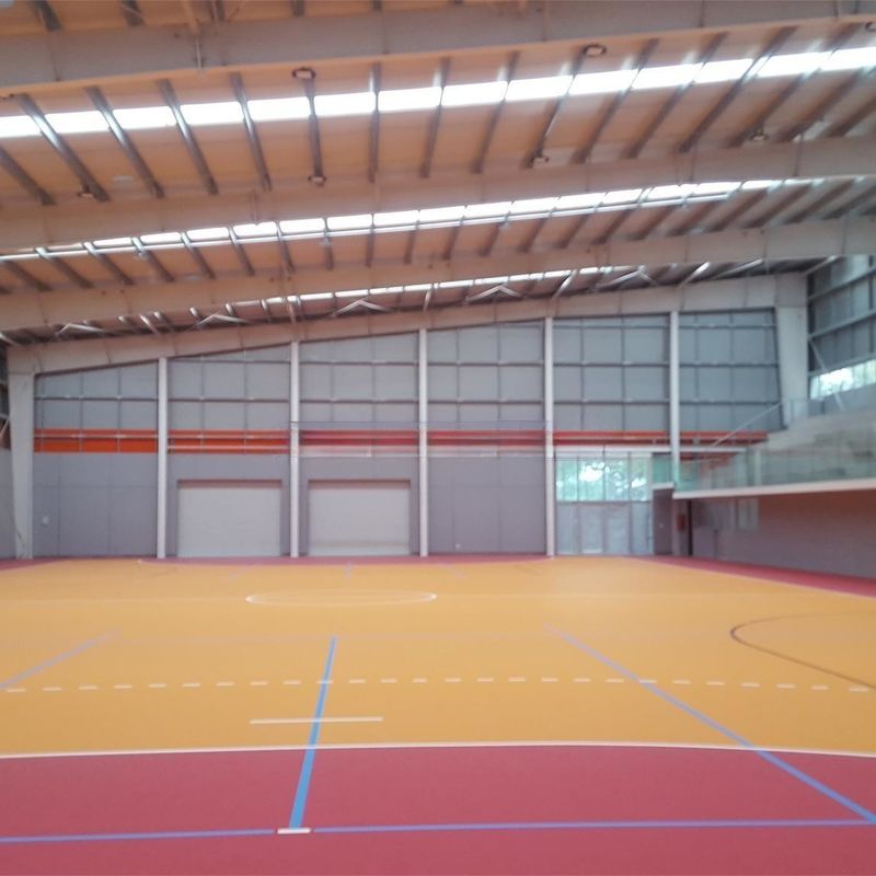 Estrutura de aço galvanizado estádio pré-fabricado colorido para o exercício