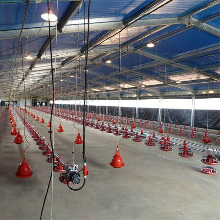 Excelente sistema de ventilação interligado de piso de broiler para linha de produção de gado