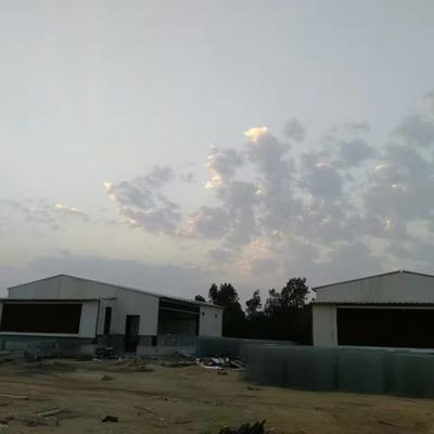 Pre-Engenharia de Pecuária Casa de Fazenda de Frango Estrutura de Aço Armazém