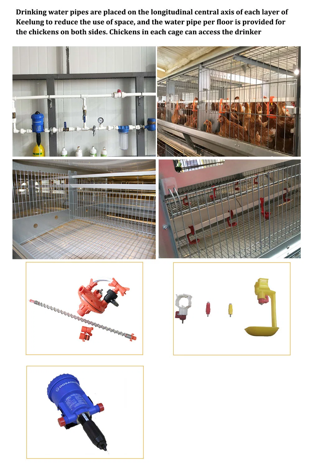 Caixa de ovos de estrutura de aço 4