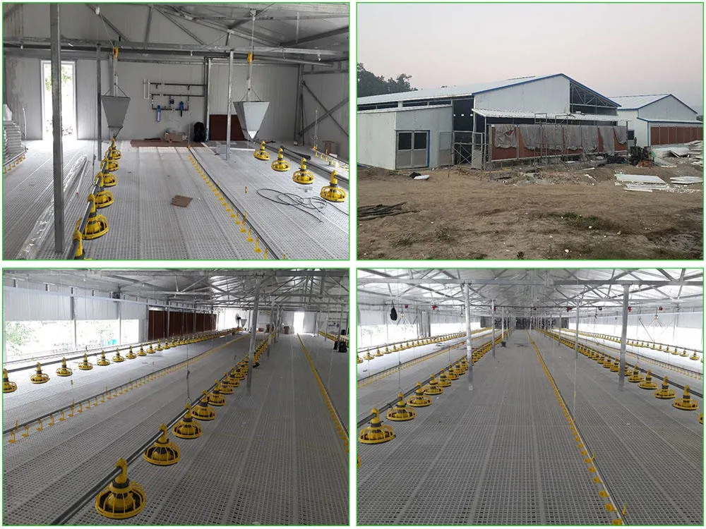 SGS Casa de criação de gado pré-fabricado Automatizado Quadro de aço Coop de frango 0