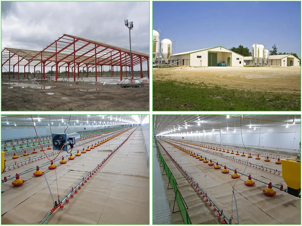 SGS Casa de criação de gado pré-fabricado Automatizado Quadro de aço Coop de frango 1