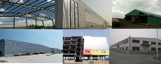 SGS Casa de criação de gado pré-fabricado Automatizado Quadro de aço Coop de frango 5