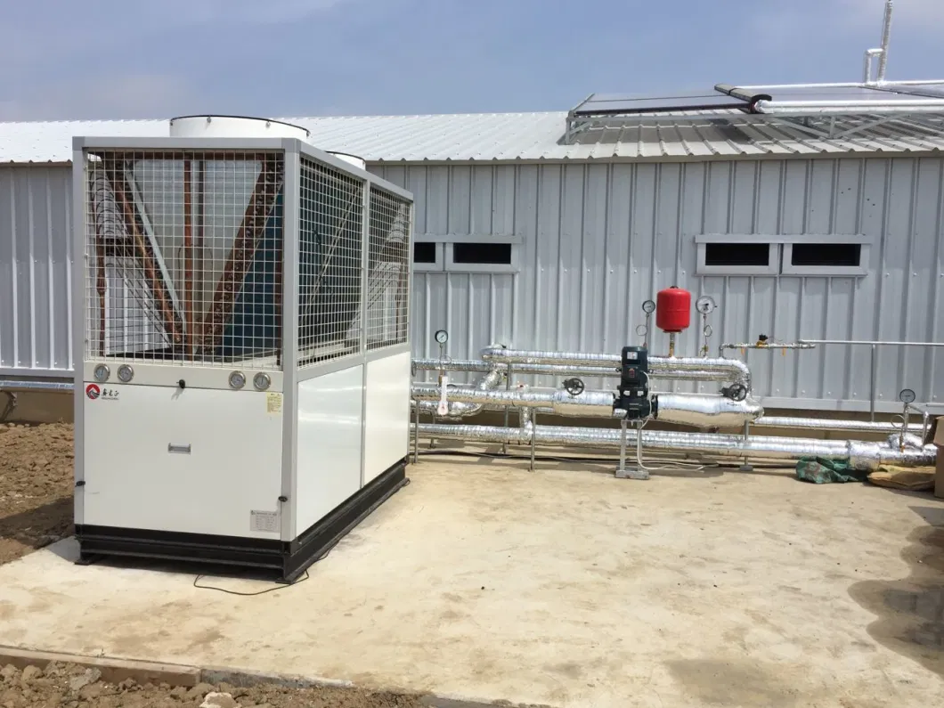 CE Casa de criação de gado Estrutura de aço Casa de frango e equipamento para frango 3
