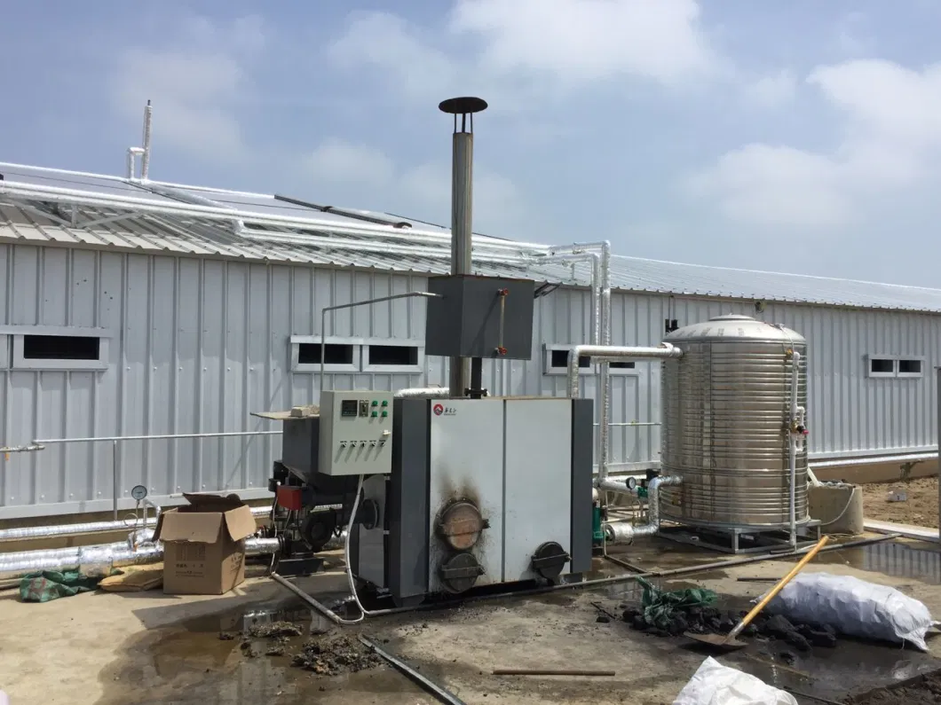 CE Casa de criação de gado Estrutura de aço Casa de frango e equipamento para frango 7