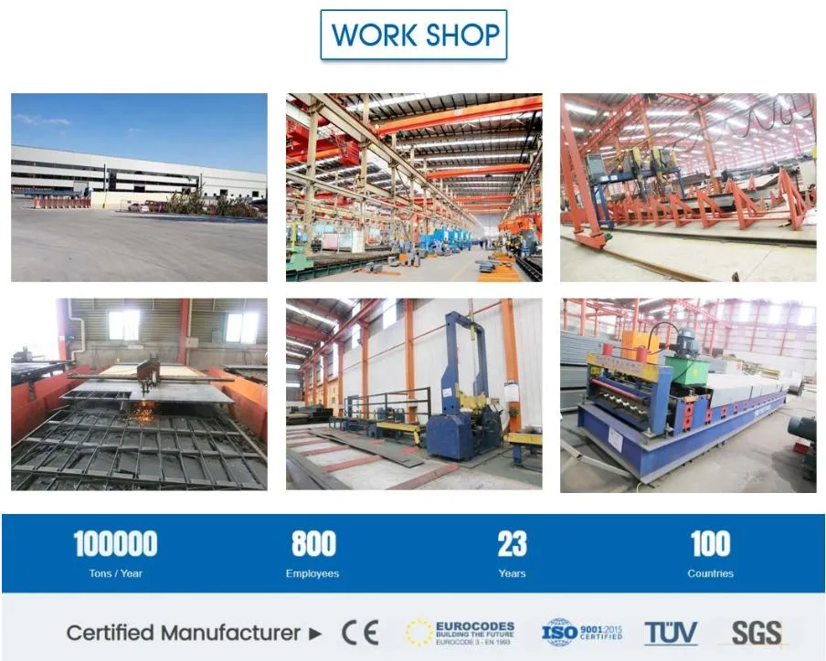CE Casa de criação de gado Estrutura de aço Casa de frango e equipamento para frango 13